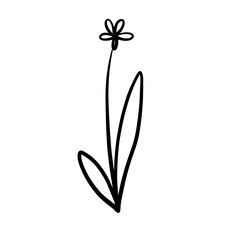 Hand drawn cute doodle flower element illustration.