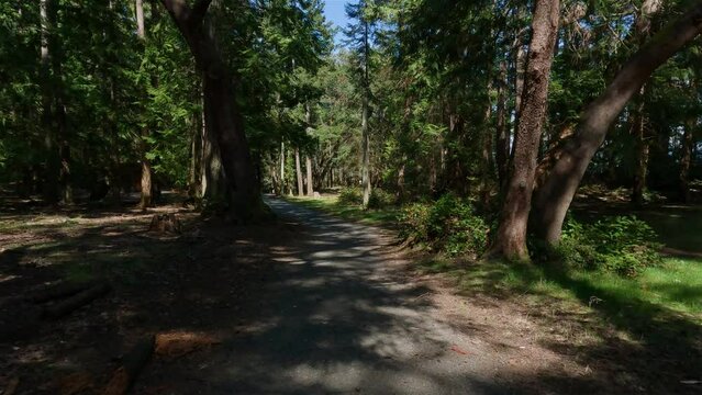 Trail to Rocky Shore on West Coast of Pacific Ocean in Nanoose Bay. Vancouver Island, British Columbia, Canada. Sunny Sky. Canadian Nature Background