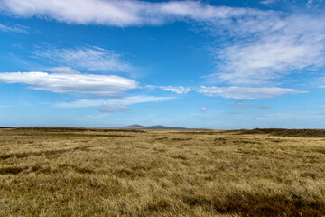 Grassy plains near Volunteer Point on the Falkland Islands