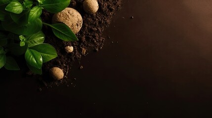 Earth Day concept design of plants, plant seeds and miniature earth for banner background