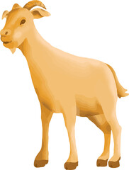 Goat Animal Qurban for Eid Al Adha
