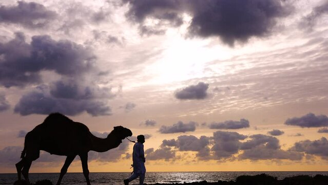 Dawn Silhouette of male camel herder sunrise Egypt