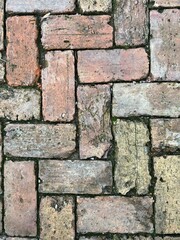 pathway made of old worn bricks