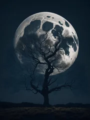 Fotobehang Volle maan en bomen moon over the earth
