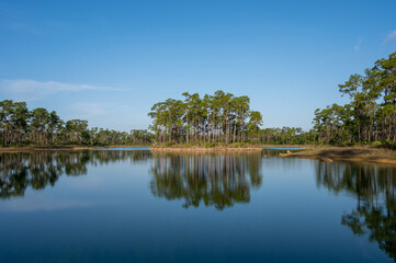 Tranquil morning waterscape at Long Pine Key in Everglades National Park, Florida.