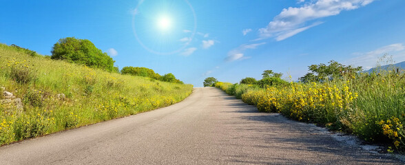 road street in green hill in spring morning blue sky clouds uphill turn trees