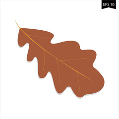 Naklejka premium oak leaf with a drop of water
