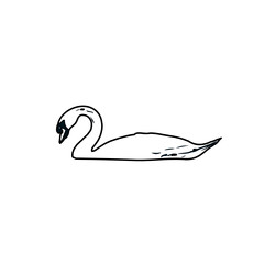 sketch of a swan with transparent background
