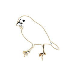 sketch of a swan with transparent background