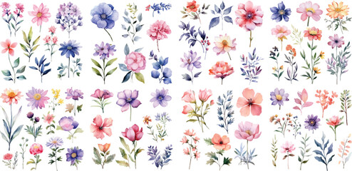 Fototapeta A Big watercolor floral package collection. Use by fabric, fashion, wedding invitation, template, poster, romance, greeting, spring, bouquet, pattern, decoration and textile. obraz