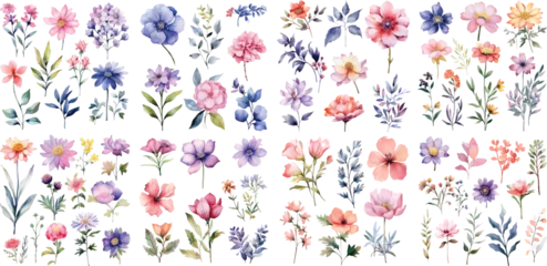 Foto op Aluminium A Big watercolor floral package collection. Use by fabric, fashion, wedding invitation, template, poster, romance, greeting, spring, bouquet, pattern, decoration and textile. © Pixel Park