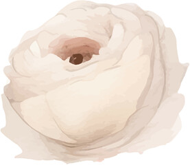 navy blue red and white rose