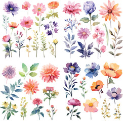 A Big watercolor floral package collection. Use by fabric, fashion, wedding invitation, template, poster, romance, greeting, spring, bouquet, pattern, decoration and textile.