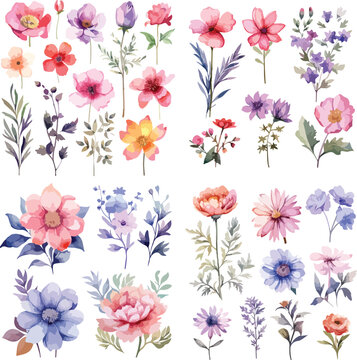 A Big watercolor floral package collection. Use by fabric, fashion, wedding invitation, template, poster, romance, greeting, spring, bouquet, pattern, decoration and textile.