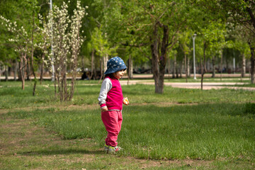 Fototapeta premium A two-year-old girl runs after pigeons in a city park.