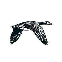 sketch of a swan with transparent background