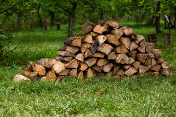 vue d'un tas de bois coupé organisé en rangée lors d'une journée D'été