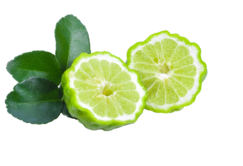 Bergamot fruit isolated transparent png