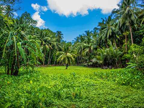 Guimaras Island Philippines