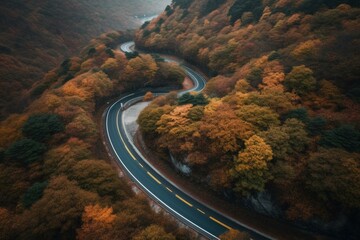 A meandering road winds through South Korea's autumnal forest. Generative AI