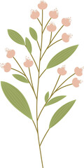 Simple botany illustration