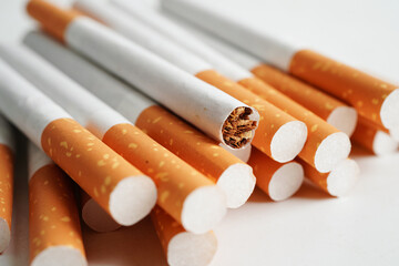 Cigarette, roll tobacco in paper with filter tube, No smoking concept.
