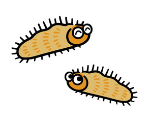 2匹の毛虫