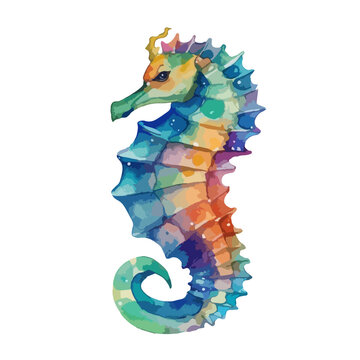 Watercolour seahorse, vector illustration. This seahorse is painted in watercolour on an isolated background. For printing on print, logo, icon, books, t-shirts