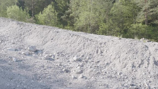 un ghiaione in montagna nelle dolomiti circondato da un bosco di conifere