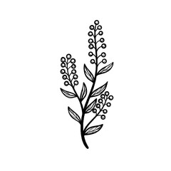 Hand-Drawn Botanical and Floral Designs