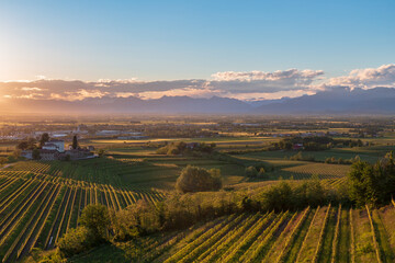 Naklejka premium Spring sunset in the vineyards of Rosazzo