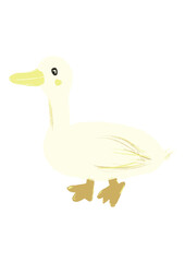 Duck illustration hand drawn.