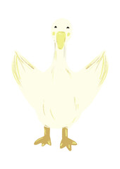 Duck illustration hand drawn.