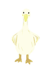Duck illustration hand drawn.