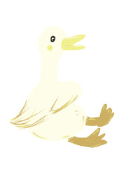 Duck illustration hand drawn.