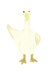 Duck illustration hand drawn.