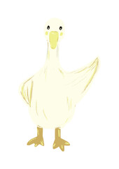 Duck illustration hand drawn.