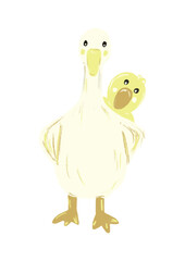 Duck illustration hand drawn.