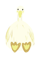 Duck illustration hand drawn.