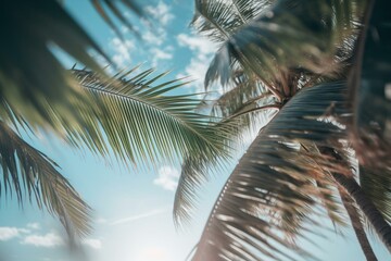 Fototapeta na wymiar Blurred blue sky and coconut palm leaves on white beach. Generative AI