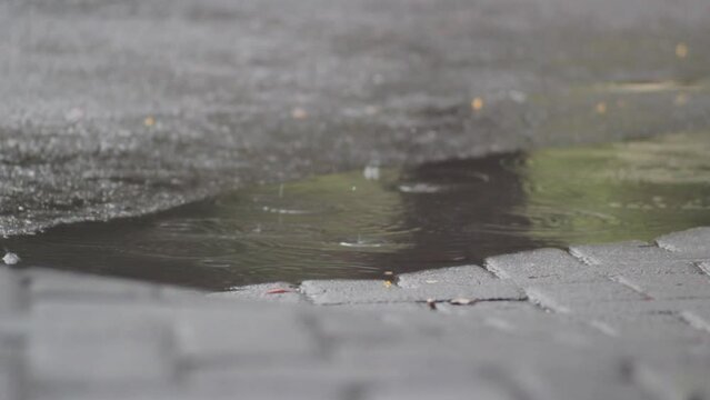 video of raindrops taken when it rains on the streets which causes puddles on the streets