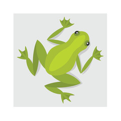Frog icon. Flat illustration of frog vector icon for web design