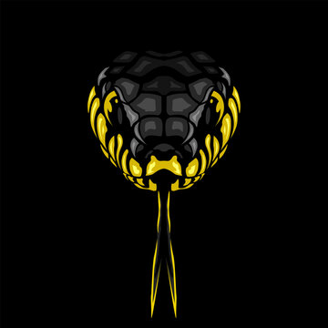 Cobra snake logo line pop art portrait colorful design with dark background. Abstract animal vector illustration.