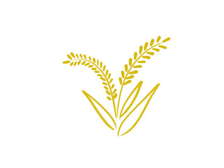 Golden rice is an important food. Can be processed in a variety of ways, useful, can be used as a logo
on a white background.