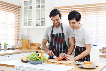 Happy cheerful LGBTQ+ gay romantic couple preparing and making their breakfast together in the kitchen.