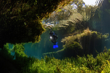 Young woman snorkeling with underwater torch in the river. underwater view.