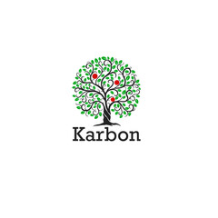 Obraz premium tree vector