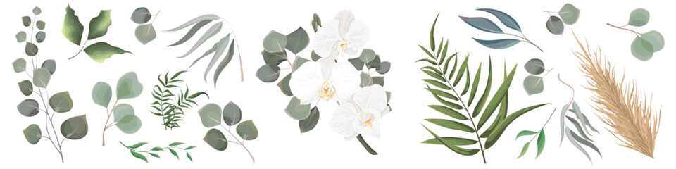 Mix of herbs and plants vector collection. Juicy eucalyptus, deadwood, green plants and leaves. All elements are isolated. White orchid branch with eucalyptus.