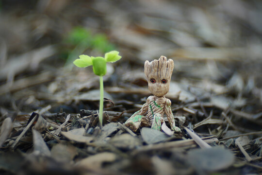 CHIANGMAI, THAILAND - MAY 2023 : Baby Groot is sitting with young plant growing in the garden at public park in Chiang Mai, Thailand.