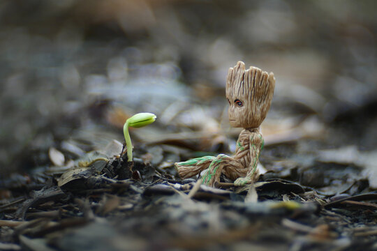 CHIANGMAI, THAILAND - MAY 2023 : Baby Groot is sitting with young plant growing in the garden at public park in Chiang Mai, Thailand.